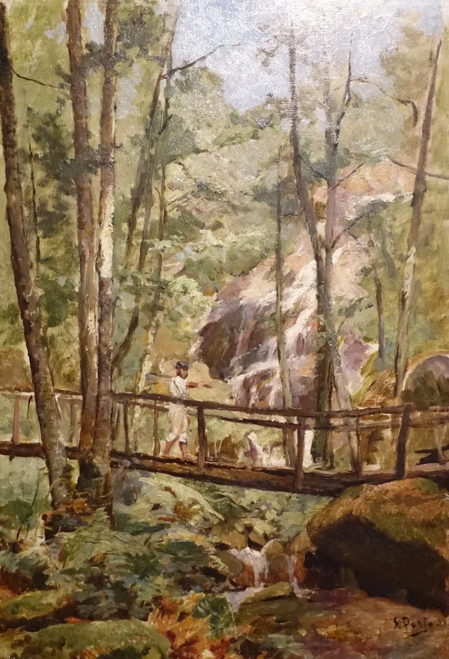 Waterfall (Vizela), Silva Porto