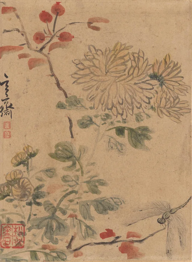 Chrysanthemum and dragonfly