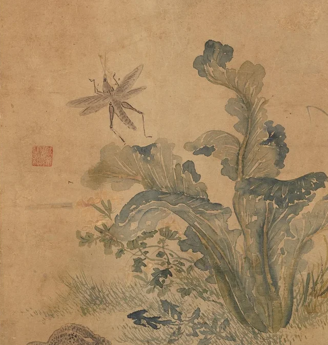 Plants and insects