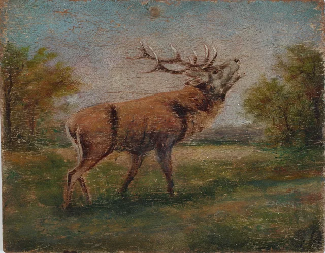 Study of a Stag from Countess Keglević's Deer Park in Lobor, Slava Raškaj