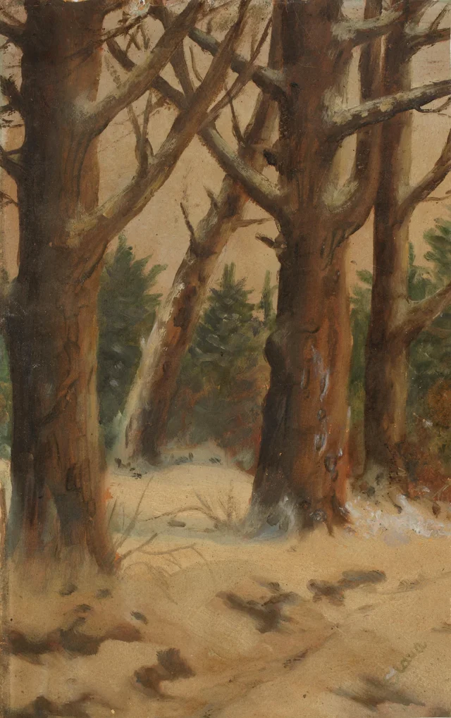 Forest in Winter, Slava Raškaj