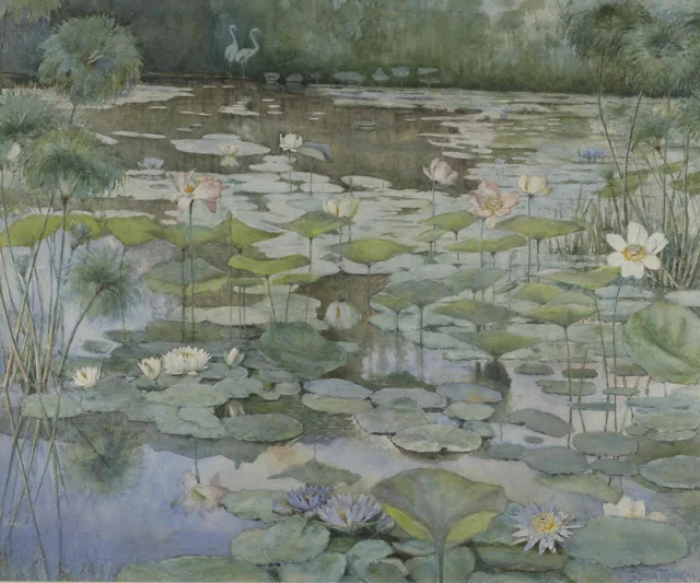 Water Lilies I, Slava Raškaj