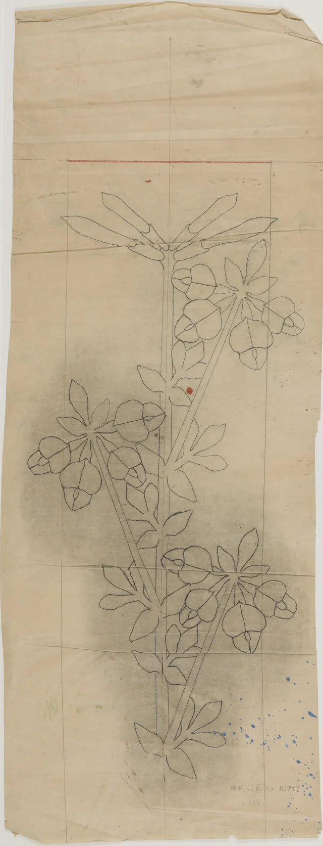 Cornichão, projeto para a decoração pintada da igreja dos Franciscanos de Cracóvia