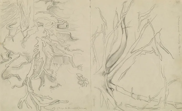 Studies of Tree Roots (recto, verso), Stanisław Wyspiański
