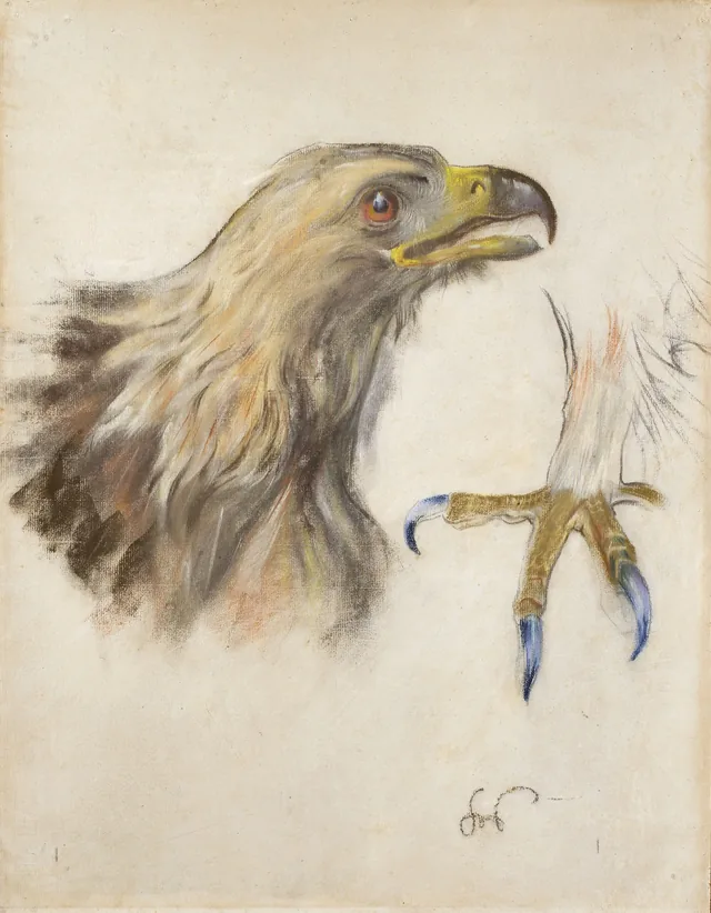 Étude de la tête et des serres d'un aigle, Stanisław Wyspiański