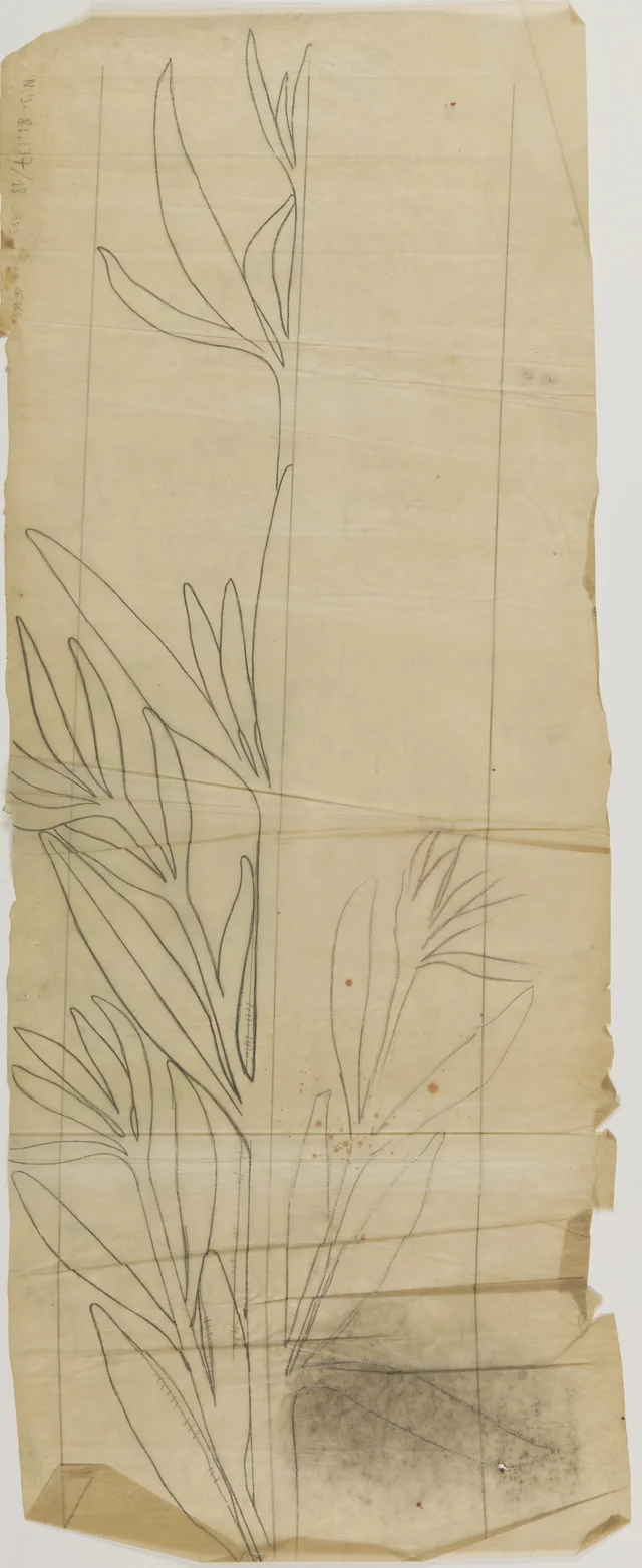 Motivo vegetal estilizado (haste com folhas), estêncil para a decoração pintada da igreja dos Franciscanos de Cracóvia