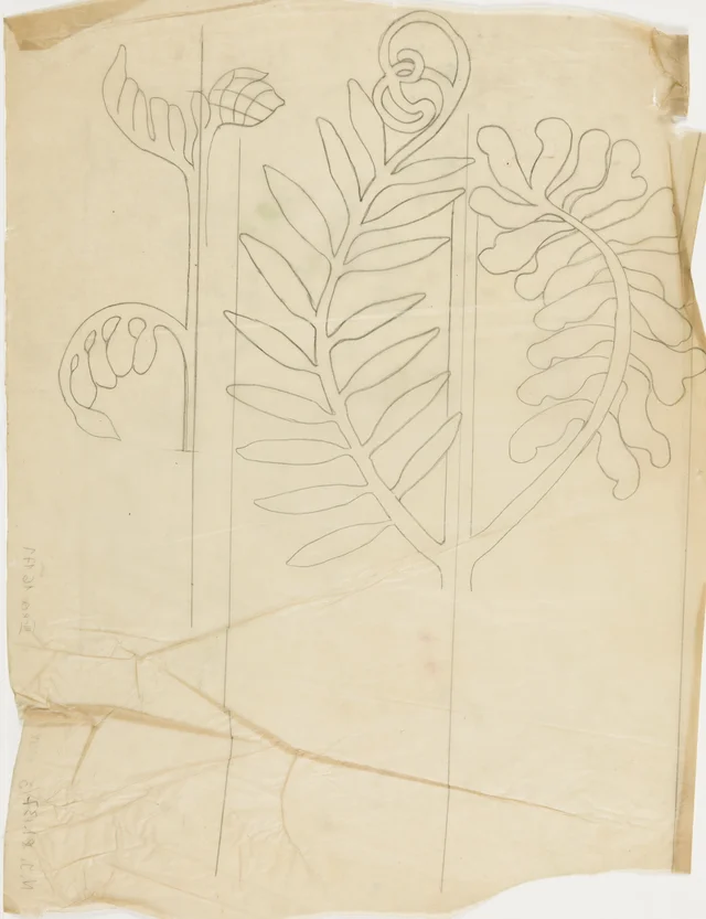 Ervilhaca, projeto para a decoração pintada da igreja dos Franciscanos de Cracóvia