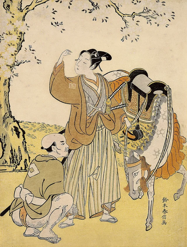 Jovem samurai contemplando as cerejeiras em flor, paródia do príncipe Kaoru, Suzuki Harunobu