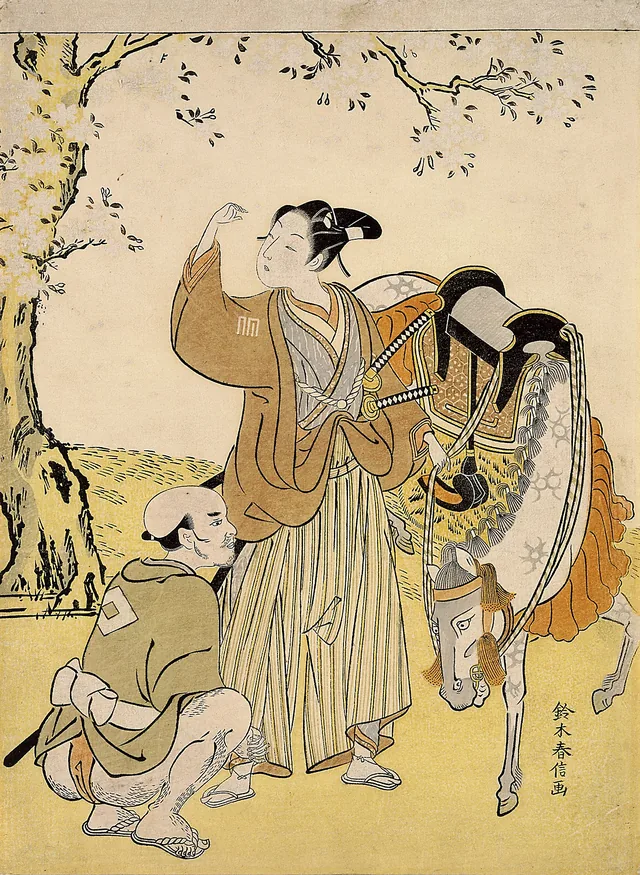 Young Samurai Viewing Cherry Blossoms as a Mitate of Prince Kaoru, Suzuki Harunobu