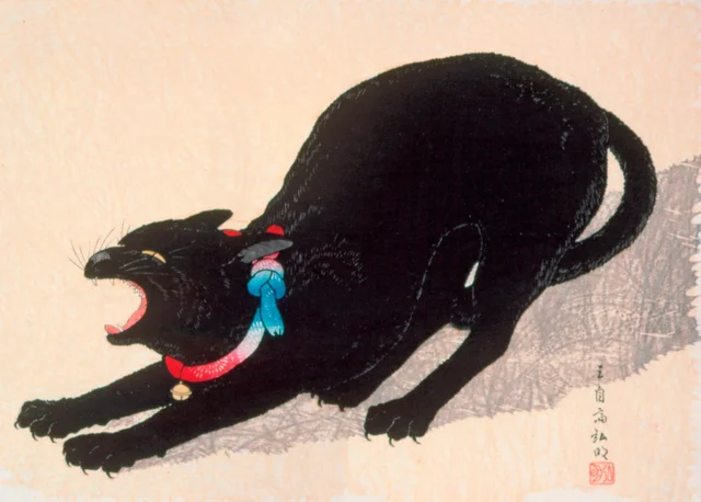 Black Cat Hissing, Takahashi Shōtei