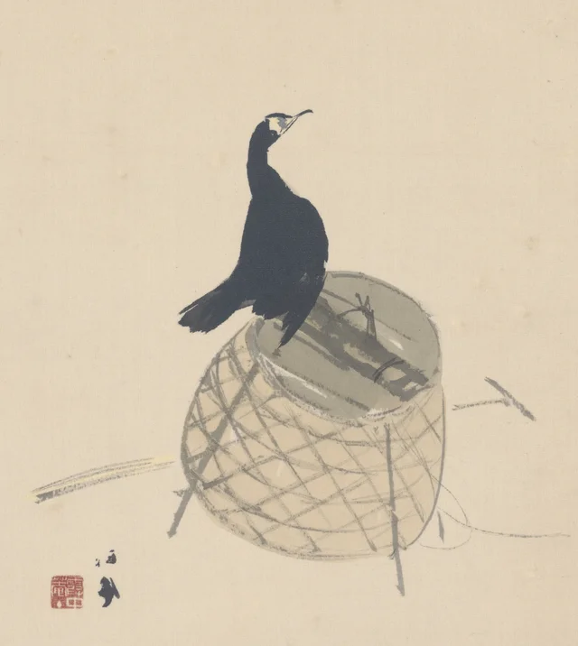 Cormorán sobre una cesta