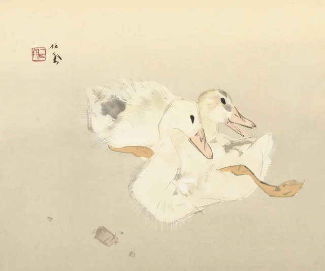 Patitos, Takeuchi Seihō