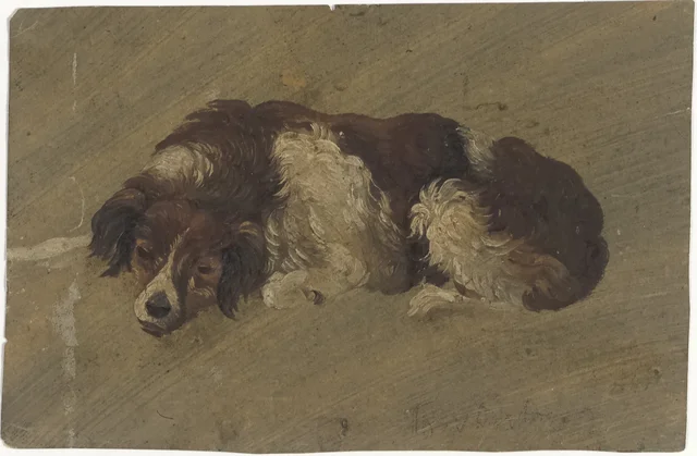 犬