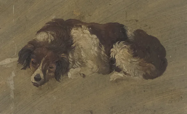 Perro