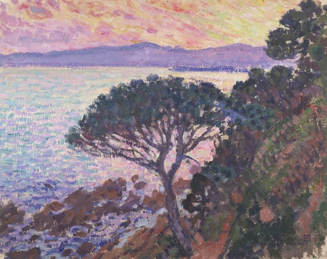 Pino piñonero junto al mar