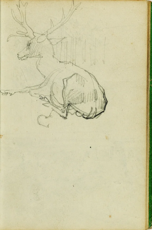 Seated Stag