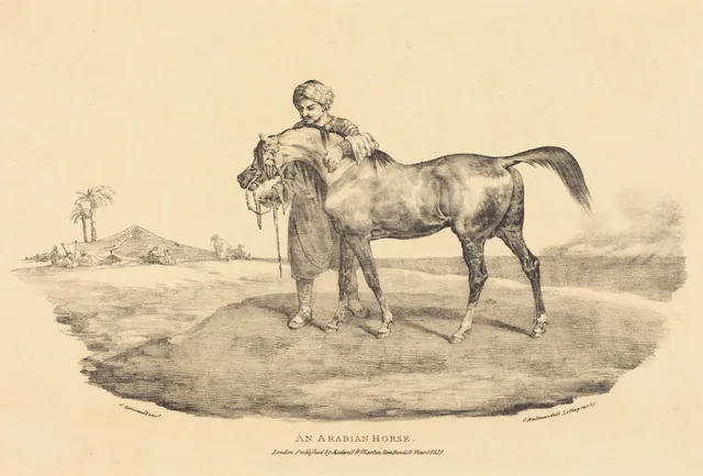 An Arabian Horse
