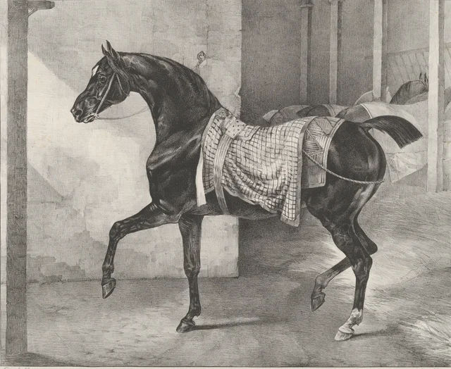Caballo negro atado en una cuadra, Théodore Géricault
