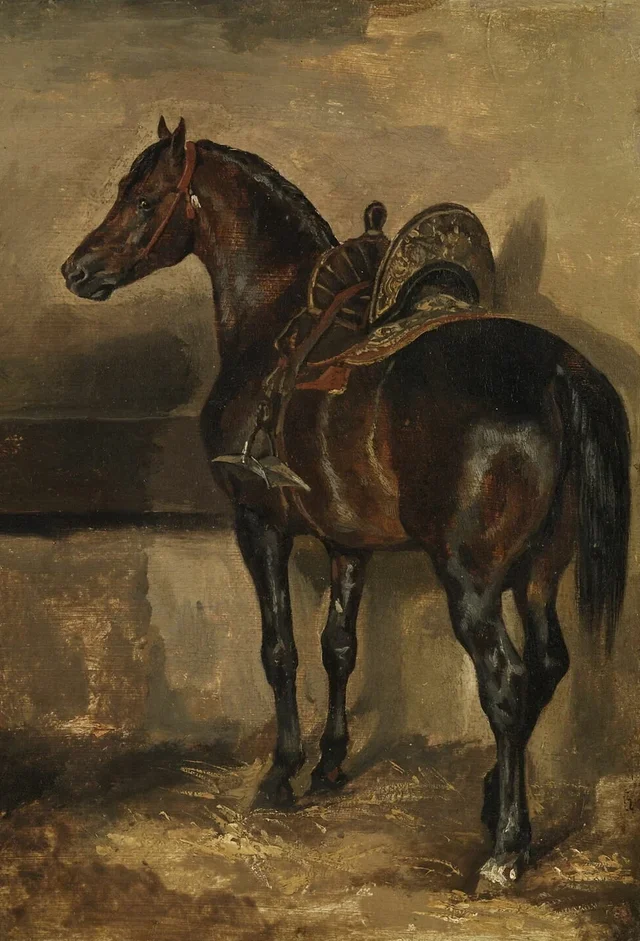 Caballo turco en una cuadra