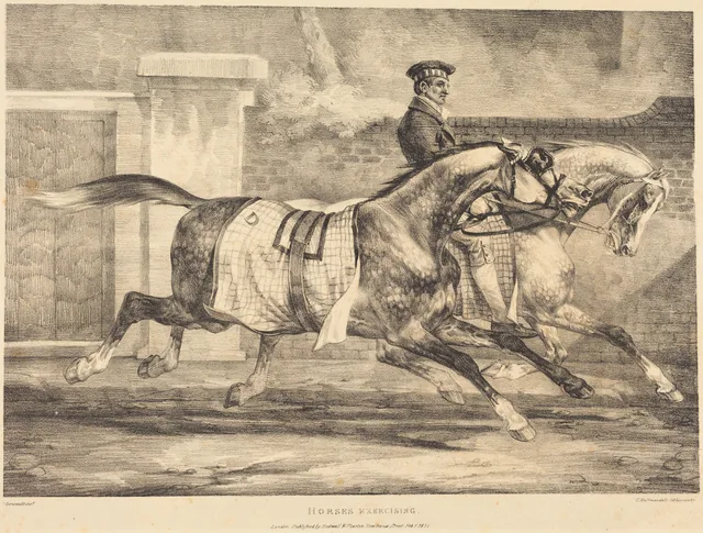 Chevaux à l'exercice