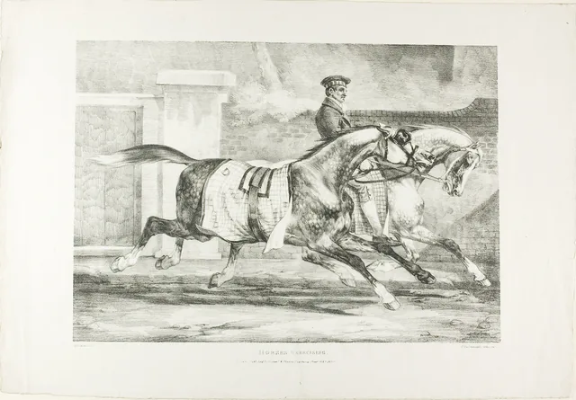 Chevaux à l'exercice, planche 6 de « Sujets divers dessinés d'après nature et sur pierre »