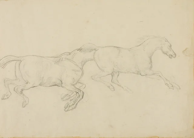 Two Horses Galloping to the Right