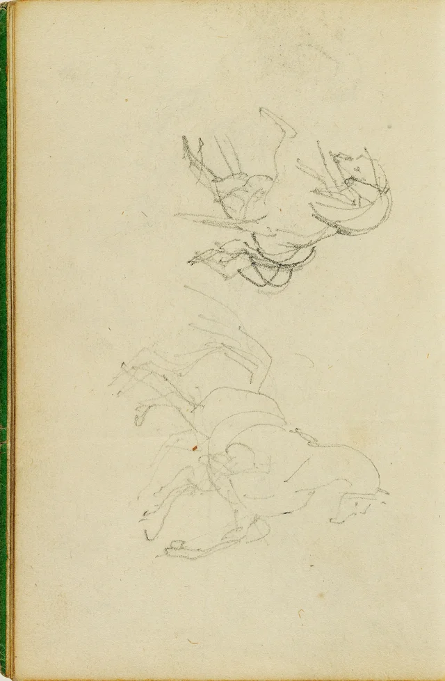 Two studies of a rearing horse