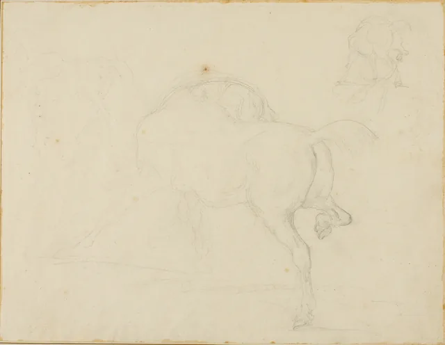 Study of a Horse Turning Its Head and Raising His Hind Leg