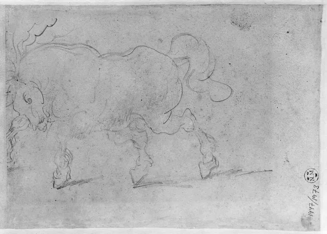 Study of a Horse
