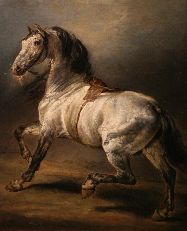 Estudio de caballo gris, Théodore Géricault