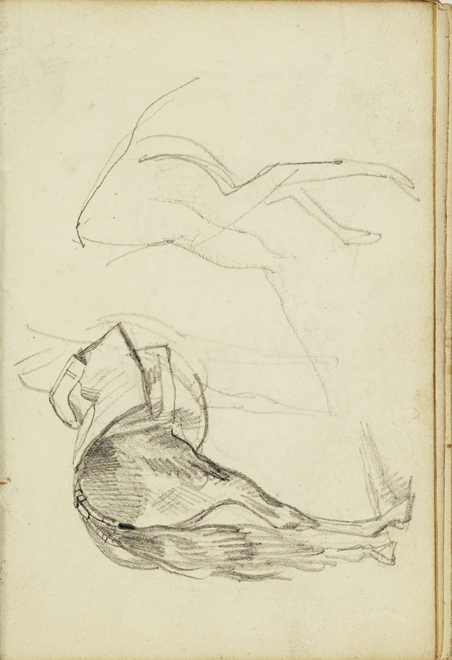 Estudos de cavalos