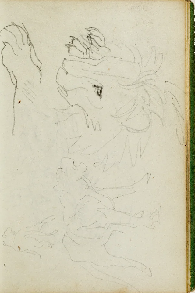 Études de lion