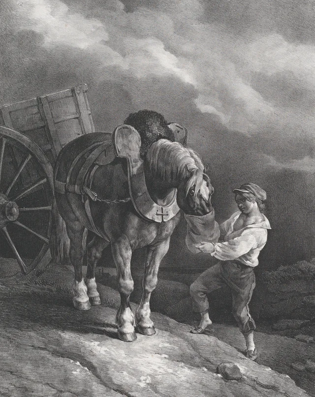 Muchacho dando de comer a un caballo de tiro con un morral