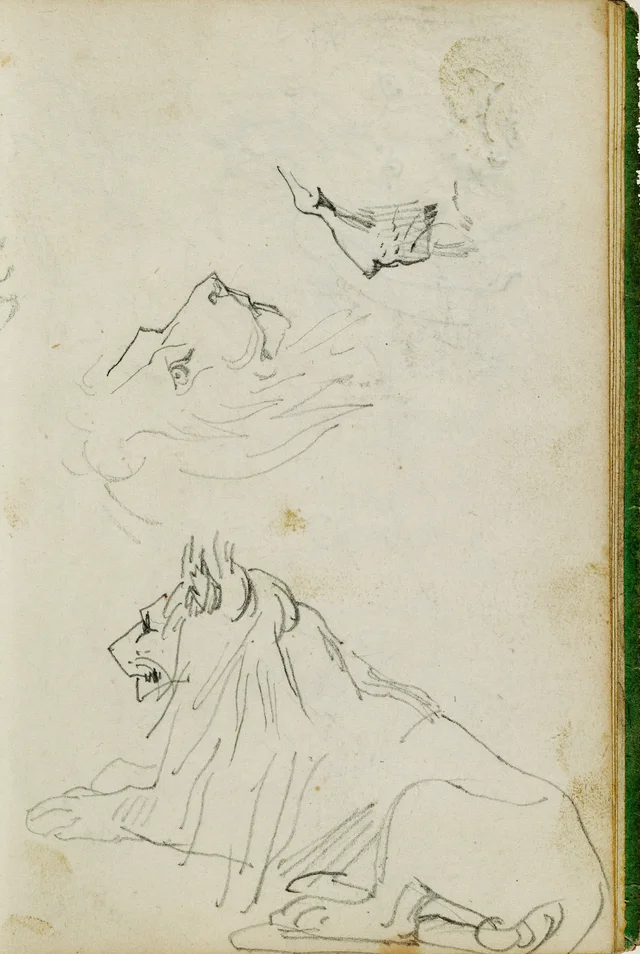 Lion assis, deux études de tête de lion