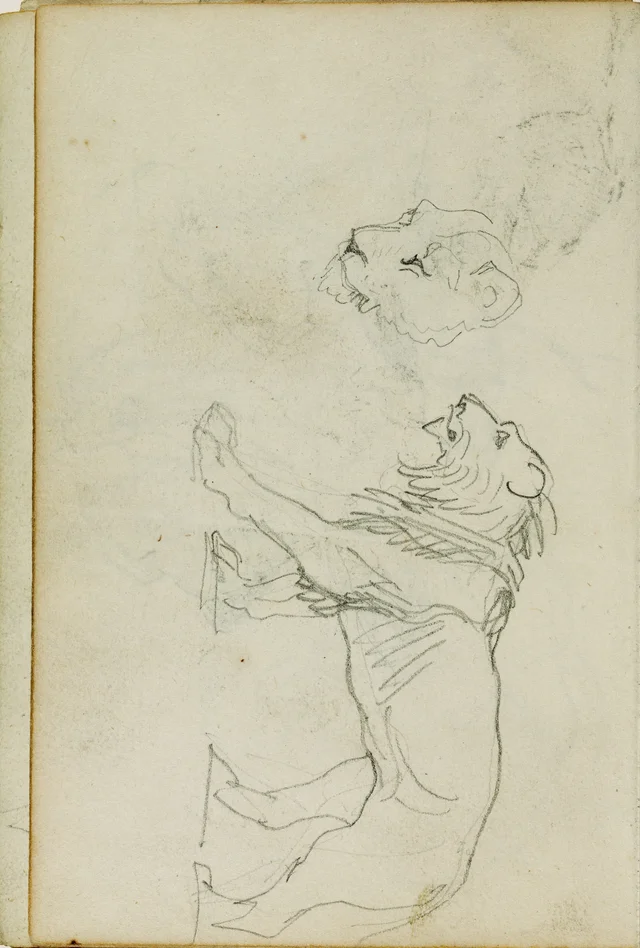 Lion marchant, tête de lionne