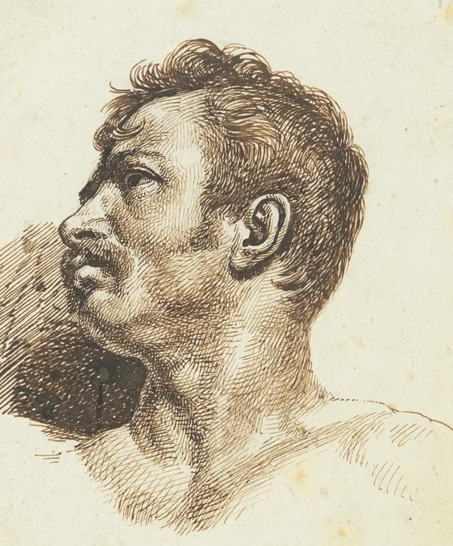 Cabeza de hombre (recto)