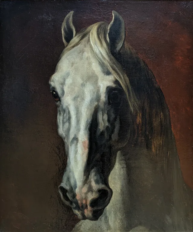 Head of a White Horse