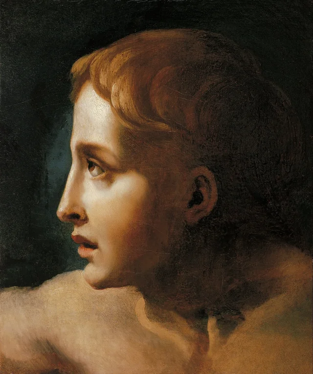 Cabeza de joven, Théodore Géricault