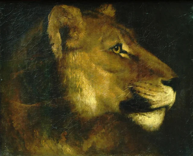 Cabeza de leona, Théodore Géricault