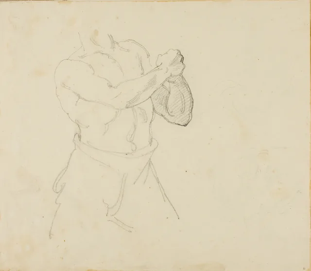 ボクサーの胴体