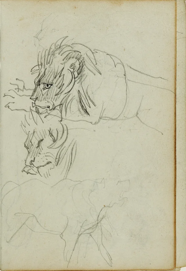 Trois études de lion