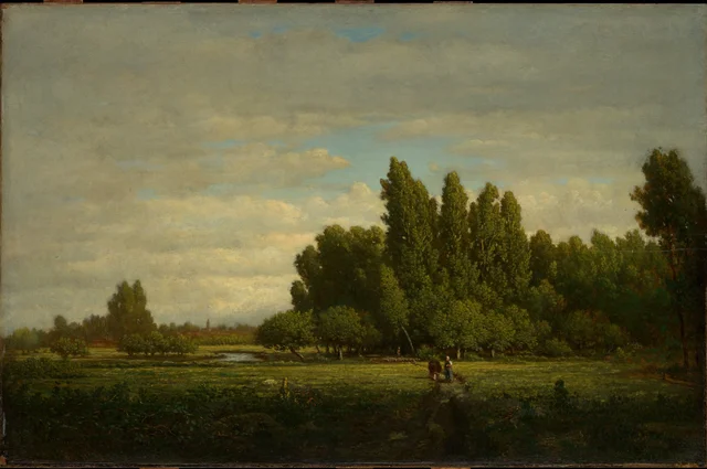 A Meadow Bordered by Trees