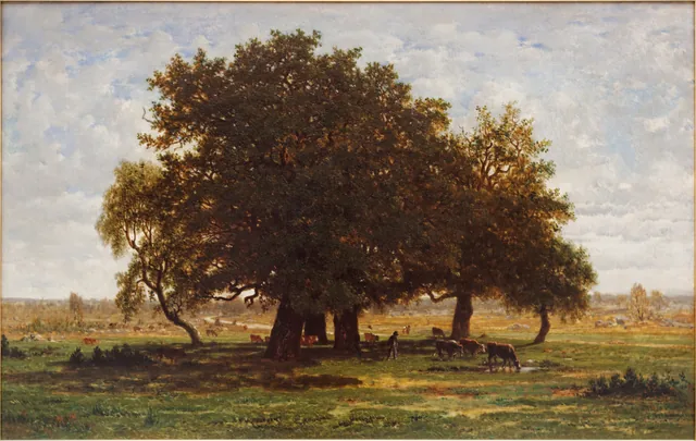 Group of Oaks, Apremont