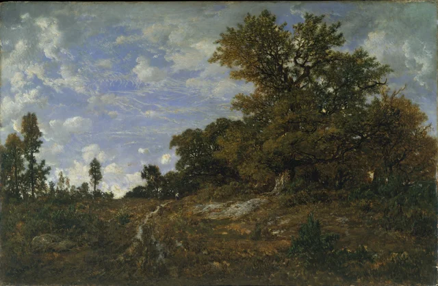 The Edge of the Woods at Monts-Girard, Fontainebleau Forest