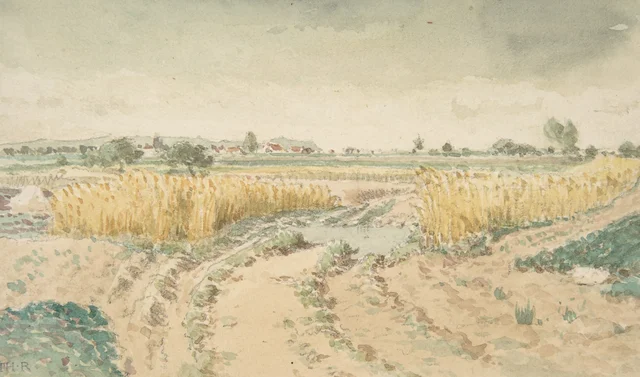 Wheatfields