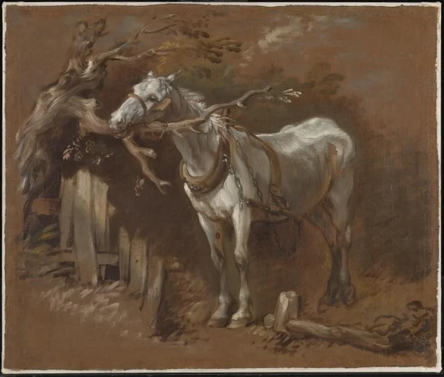 Un vieux cheval