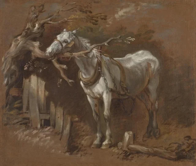 Un viejo caballo