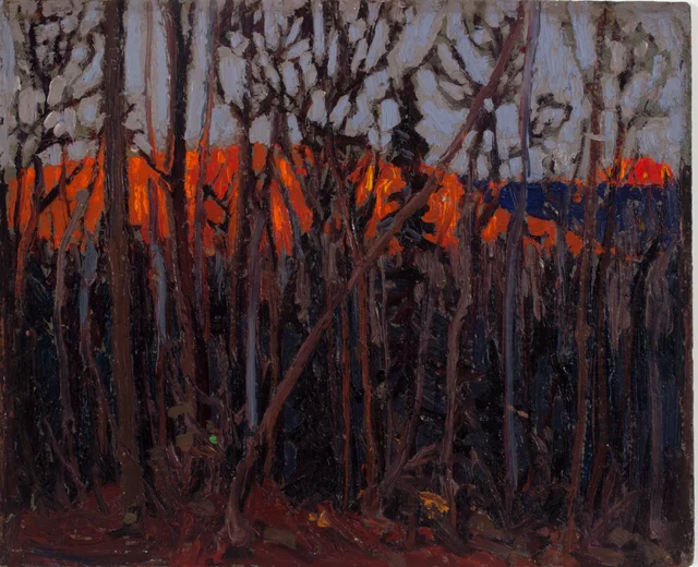 Parque Algonquin, Tom Thomson