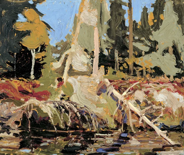 Principios de otoño, parque Algonquin