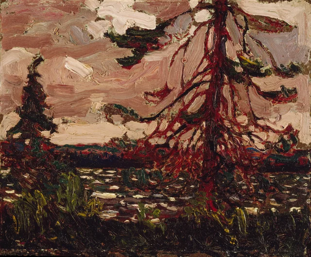 El pino desgarrado, Tom Thomson